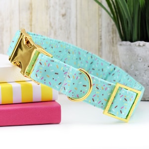 May include: A light blue dog collar with a gold buckle and a sprinkle pattern.