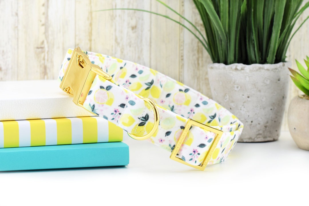Pink Lemonade Dog Collar Summer Fabric Dog Collar Cute Dog Collar
