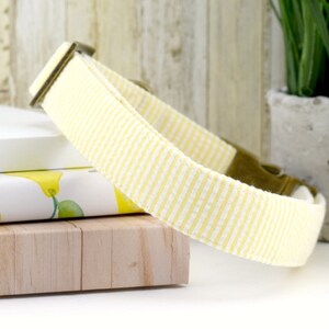 Seersucker Dog Collar - Yellow & White ~ Cotton Fabric Dog Collar ~ Fashion Dog Collar ~ Antique Bronze Hardware ~ Sandy Paws Collar Co image 2