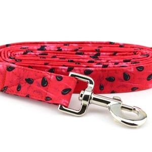 Correa para perros con semillas de sandía - Correa para perros de tela de sandía - Correa para perros de moda - Hardware plateado - Sandy Paws Collar Co