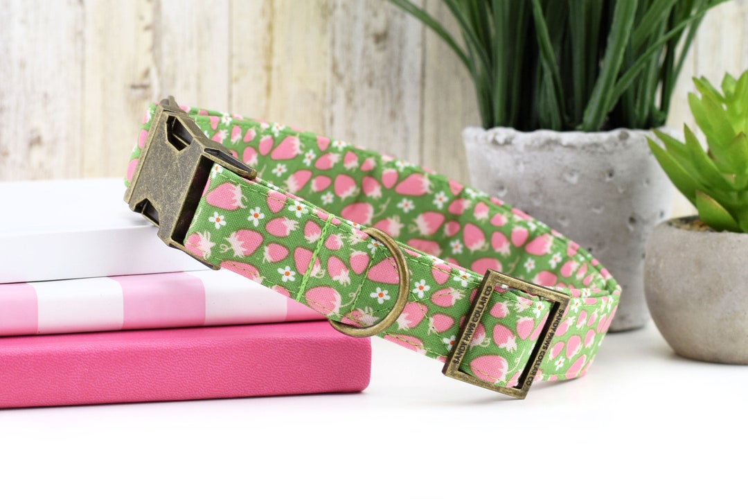 Strawberry Dog Collar Green Summer Fashion Dog Collar Fabric Dog Collar
