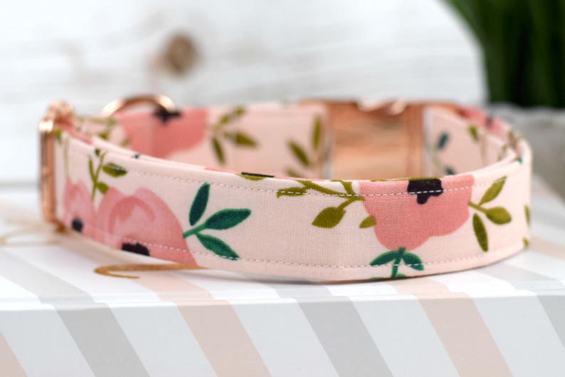 Watercolor Floral Dog Collar Blush Floral Fabric Dog Collar Etsy Canada