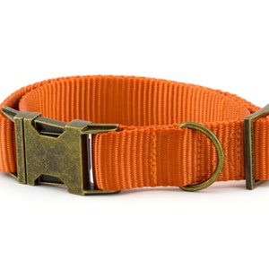 Webbing Dog Collar - Solid Burnt Orange ~ Solid Nylon Webbing Dog Collar ~ Antique Bronze Metal Hardware ~ Sandy Paws Collar Co