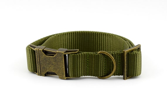 Hunter green hotsell dog collar
