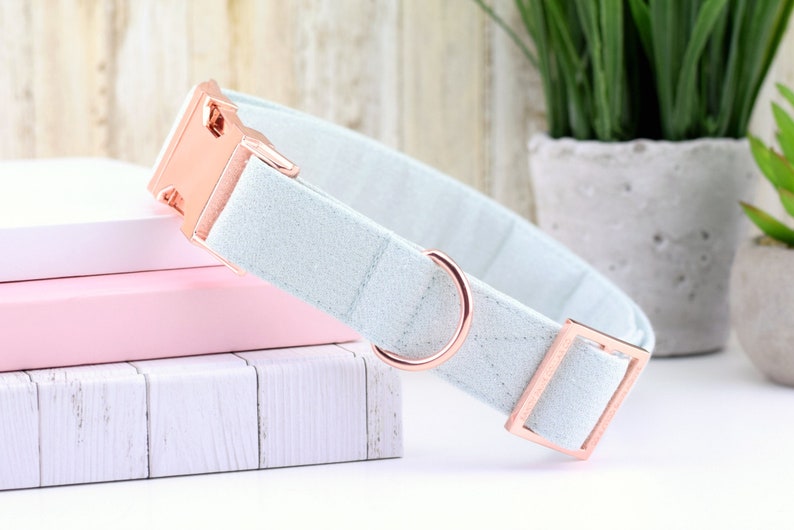 Mint GLITTER Dog Collar Girl Dog Collar Fashion Dog Collar Etsy