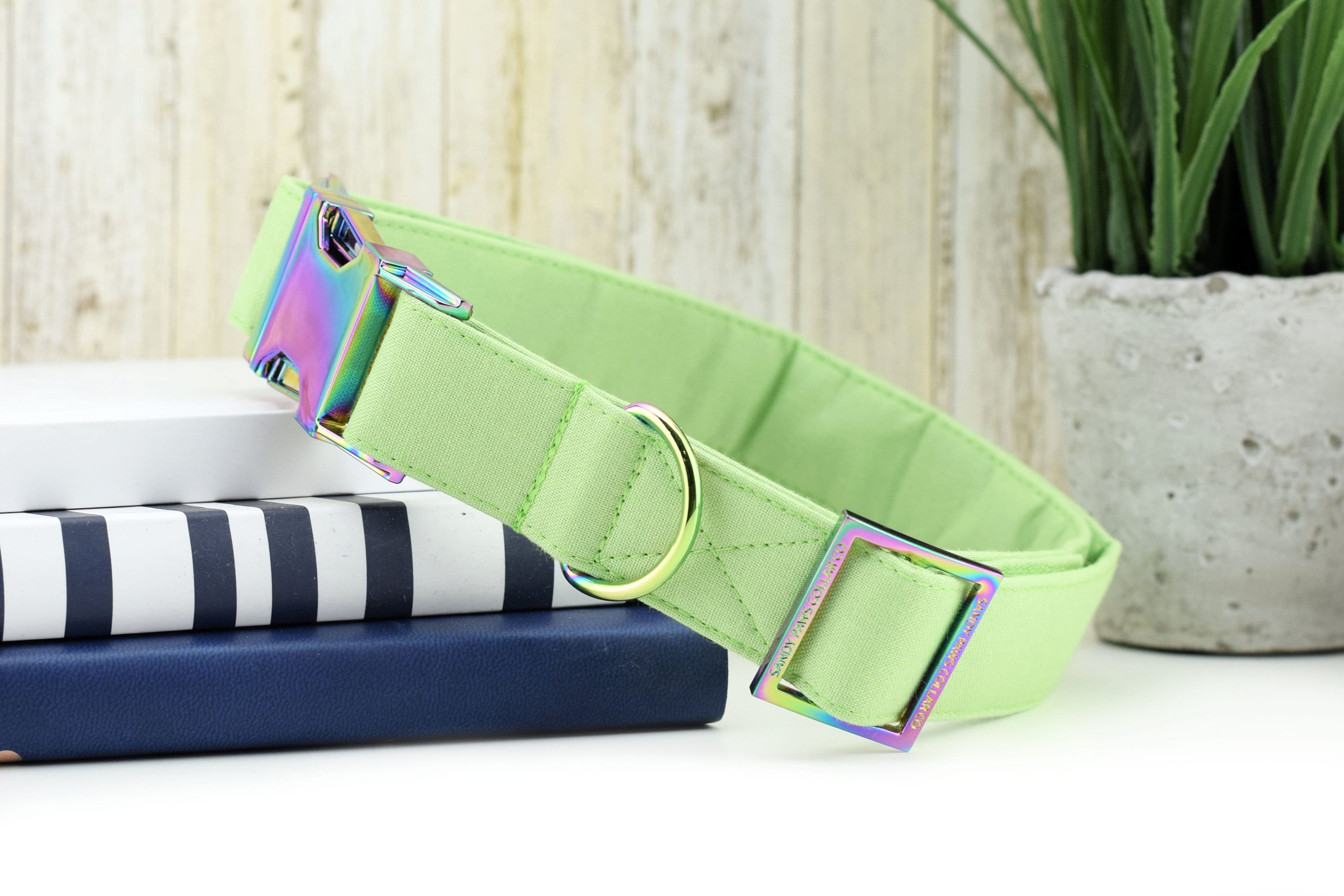 Bright green dog collar 2025