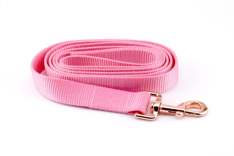 bing Dog Leash Solid Light Pink Solid Nylon bing Dog Etsy