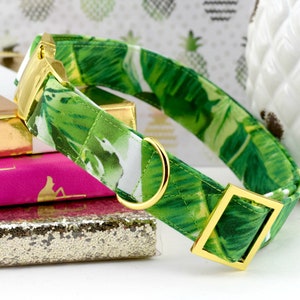 Palm Leaf Dog Collar ~ Cotton Fabric Dog Collar ~ Tropical Print Fashion Dog Collar ~ Yellow Gold Metal Hardware ~ Sandy Paws Collar Co