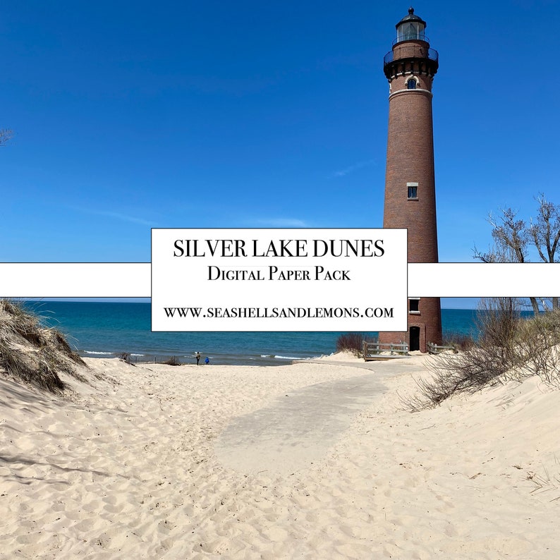 5 fun facts about sand dunes picture