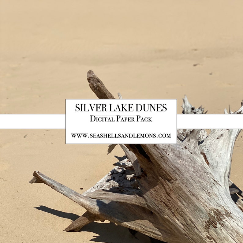 Sand dunes vs desert picture