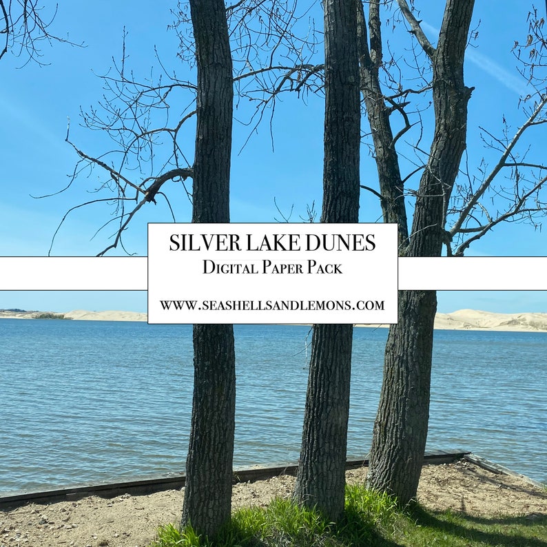 Wind and sand dunes image