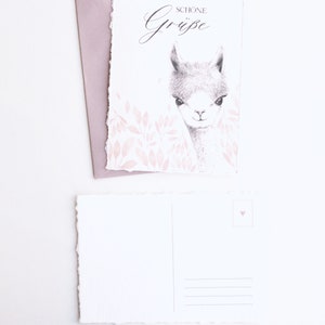 Postkarte Lama