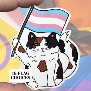 Trans Pride Cat glänzender Vinylaufkleber | Hochwertige Kunst LGBTQIA Equality Flag Proud Pink Blau Weiß Transgender MTF FTM
