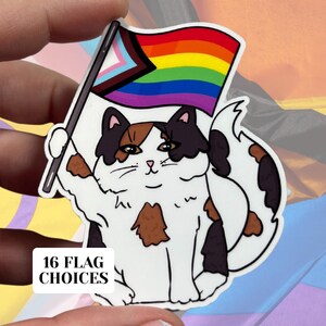 Fortschrittliche Stolz Katze glänzend Vinyl wasserfest Aufkleber | Hochwertige Kunst LGBTQIA Gleichheitsfahne Stolze Menschen Farbe Trans POC Inklusion