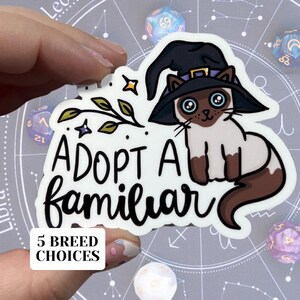 Adopt einen Vertrauten glänzenden Vinyl wasserfester Aufkleber | Hochwertige Kunst Hexe Witchy Siamese weiß getigerte Calico Helfer Geist Begleiter Hut