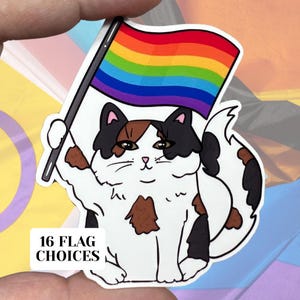 Pegatina de vinilo brillante resistente al agua con diseño de gato del orgullo LGBTQIA. Arte de alta calidad. Bandera de igualdad LGBTQIA. Bandera LGBT orgullosa. Calico. Regalo para aliados. Gay binario.