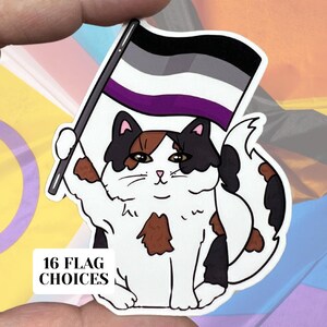 Pegatina de vinilo resistente al agua con diseño de gato del orgullo asexual, diseño de alta calidad, bandera de igualdad LGBTQIA, orgullo LGBT, as, morado, negro y gris, asexual