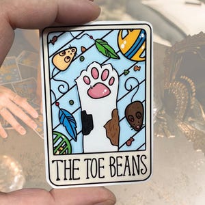 Pegatina de vinilo brillante resistente al agua con la carta del tarot Toe Beans / Arte de alta calidad, bruja, adivinación, juego de palabras, gato, amante de los gatos