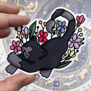 Skorpion Sternzeichen glänzender Vinyl wasserfester Aufkleber | Hochwertige Kunst Katze Oktober November Wasser Mars Astrologie Geschenk Konstellation
