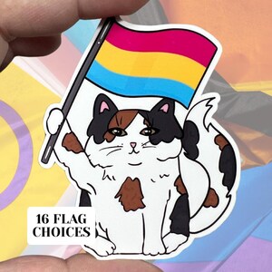 Autocollant résistant à l'eau en vinyle brillant Pansexual Pride Cat | Art de haute qualité Drapeau de l'égalité LGBTQ Fier LGBT Pan Vin pas l'étiquette Rose Bleu