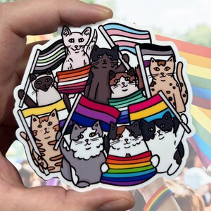 Pegatina de vinilo brillante resistente al agua con la bandera del orgullo felino / Arte de alta calidad LGBTQIA Bandera de igualdad Orgulloso Pan Ace Gay Lesbian Ally Trans Love Wins