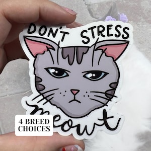 Geen stress Meowt Cat glanzende vinyl waterbestendige sticker | Hoogwaardige kunstheks Witchy Brown Tabby Grey White RBF Punny Mental Health