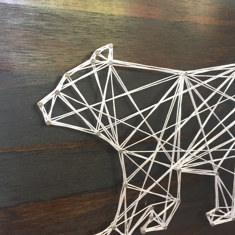 bear lights out bow string diagram