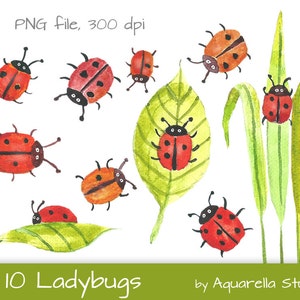 Watercolor Ladybugs - Watercolor ladybug clipart - Ladybird clipart - Scrapbook Clipart -Instant Download - PNG file- High Resolution