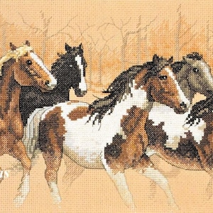 Dimensions Counted Cross Stitch Kit - Wild Rush