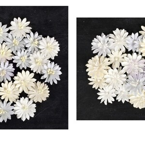 May include: Two groups of white and light purple paper flowers. The flowers are arranged in a circular pattern on a black background.