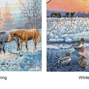 Op de afbeelding: Twee paarden drinken uit een bevroren beek in een besneeuwd bos. De zon gaat onder in de achtergrond en werpt een warme gloed over de scène. De afbeelding heeft de titel "Frosty Morning".