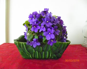 Vintage Upco Green Pottery Planter With Leaf Design