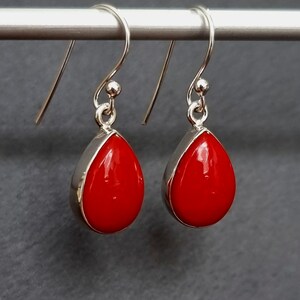 May include: A pair of silver dangle earrings with red teardrop-shaped stones.
