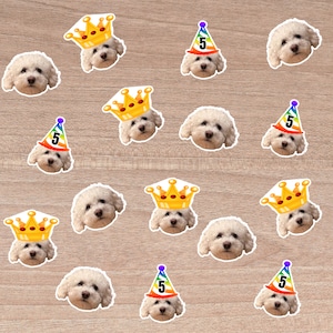 coriandoli personalizzati per il viso, coriandoli fotografici, coriandoli personalizzati per foto del viso, coriandoli per animali domestici, decorazione per feste per cani, festa di compleanno per cani, festa per cuccioli
