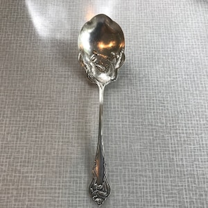 May include: A silver serving spoon with an ornate design. The spoon has a rounded bowl and a long, slender handle.