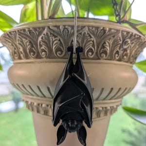 May include: A black bat figurine hanging upside down from a silver metal hook. The bat is depicted with its wings folded tightly against its body, showing detailed wing structures and pointed ears. The figurine is suspended in a vertical orientation.