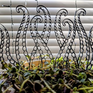 May include: A black metal plant trellis with a repeating circular design, placed in a pot with green foliage. The trellis has a series of interconnected circles forming a decorative pattern, with a curled top. The background features a window with blinds.