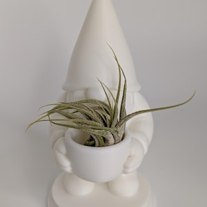 Gnome Holding Planter Air Plant Air Fern Holder | Indoor Plant Decor