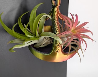 Hanging Tentacle Air Plant Holder | Gothic Coastal Plant Decor | Nautical Themed Display | Air Fern Holder