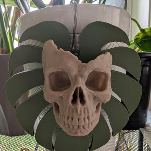 Gothic Skull Monstera Pot Hanger | Halloween Planter Decor | Gothic Plant Decor | Skull Houseplant Accent