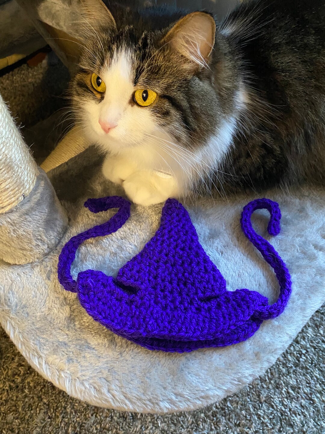 Crochet Witch Pet Hat Etsy