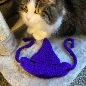 Crochet Witch Pet Hat