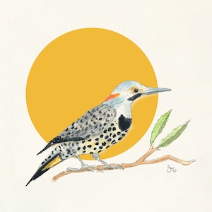 Yellow Hammer Woodpecker- Alabama State Bird Watercolor Giclée Print