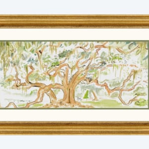 Tree of Life/ Audubon Park/ Live Oak watercolor giclée fine art print