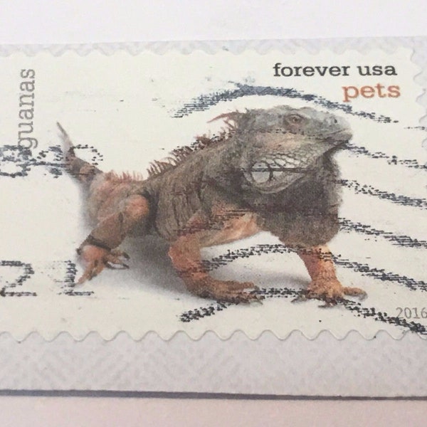 United States Stamp Canceled Collectors USA Forever USA pets eguanas