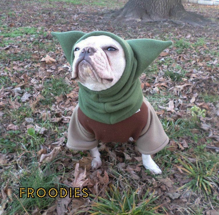 frenchie dog costumes