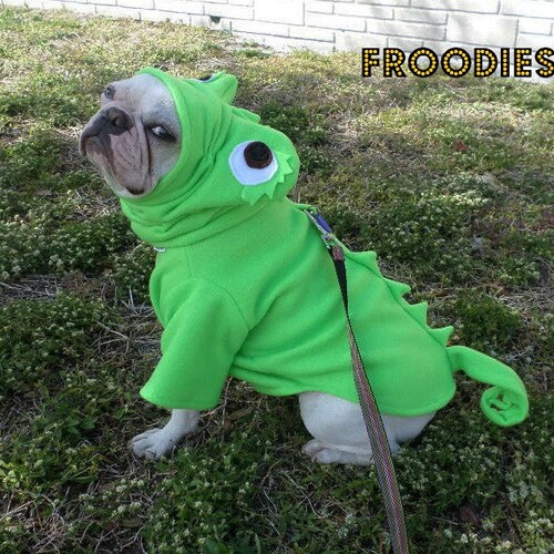 tangled dog costume