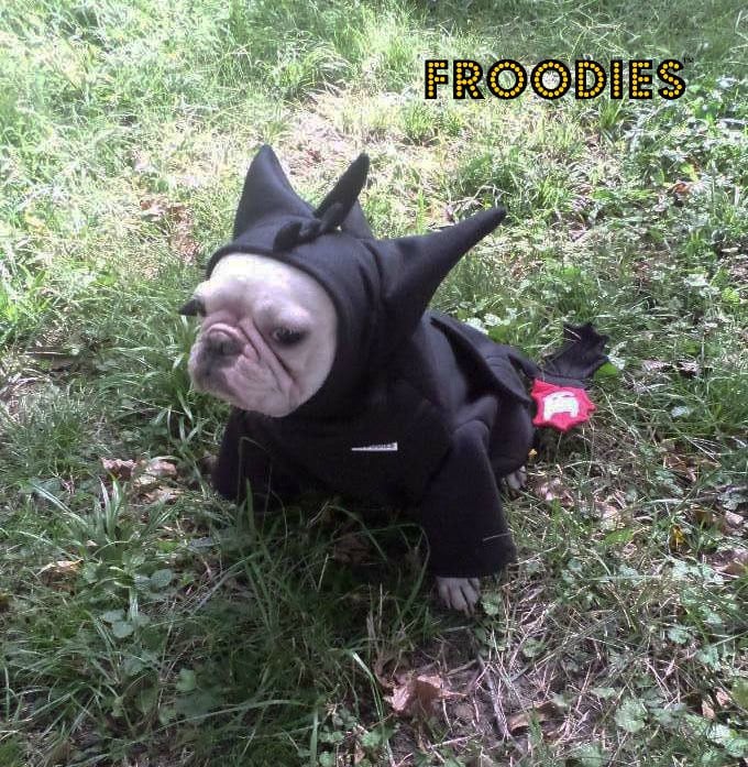 Toothless Dog Costume ubicaciondepersonas.cdmx.gob.mx