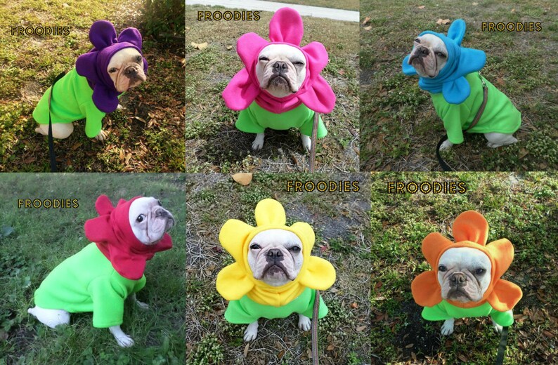 french bulldog fleece jacket