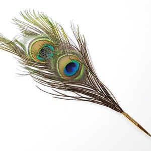Deluxe Ballpoint Pen - Natural Peacock Feather